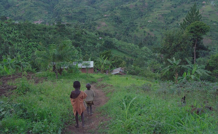 Two young boys walking home on a grassy path.