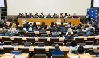 Executive Board of UNDP, UNFPA and UNOPS: Annual session 2024