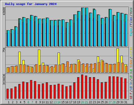 Daily usage for January 2024