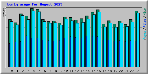 Hourly usage for August 2023