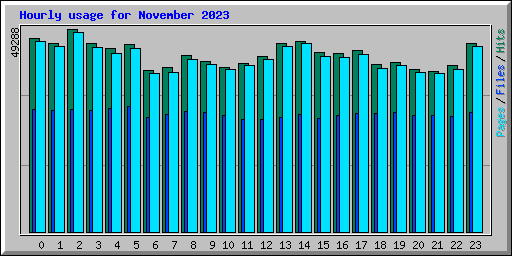 Hourly usage for November 2023