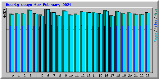 Hourly usage for February 2024