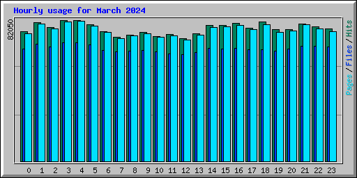 Hourly usage for March 2024