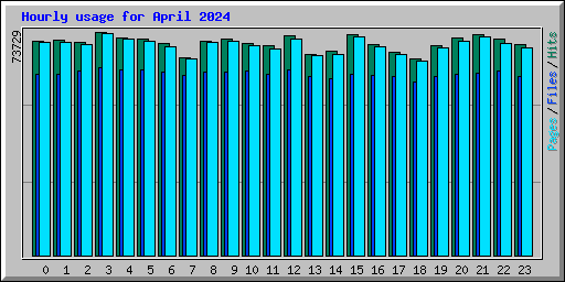 Hourly usage for April 2024