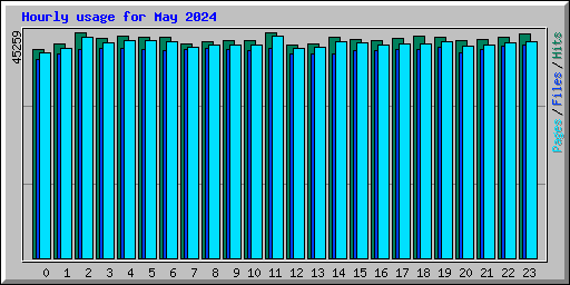 Hourly usage for May 2024