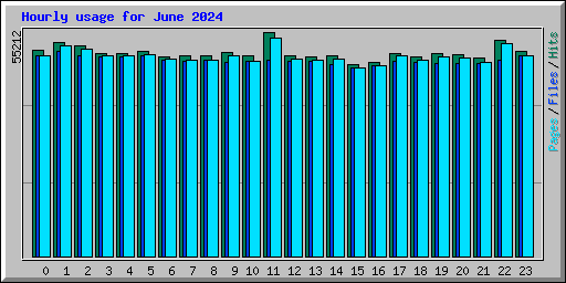 Hourly usage for June 2024