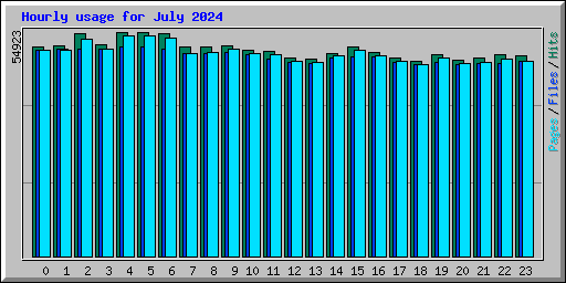 Hourly usage for July 2024